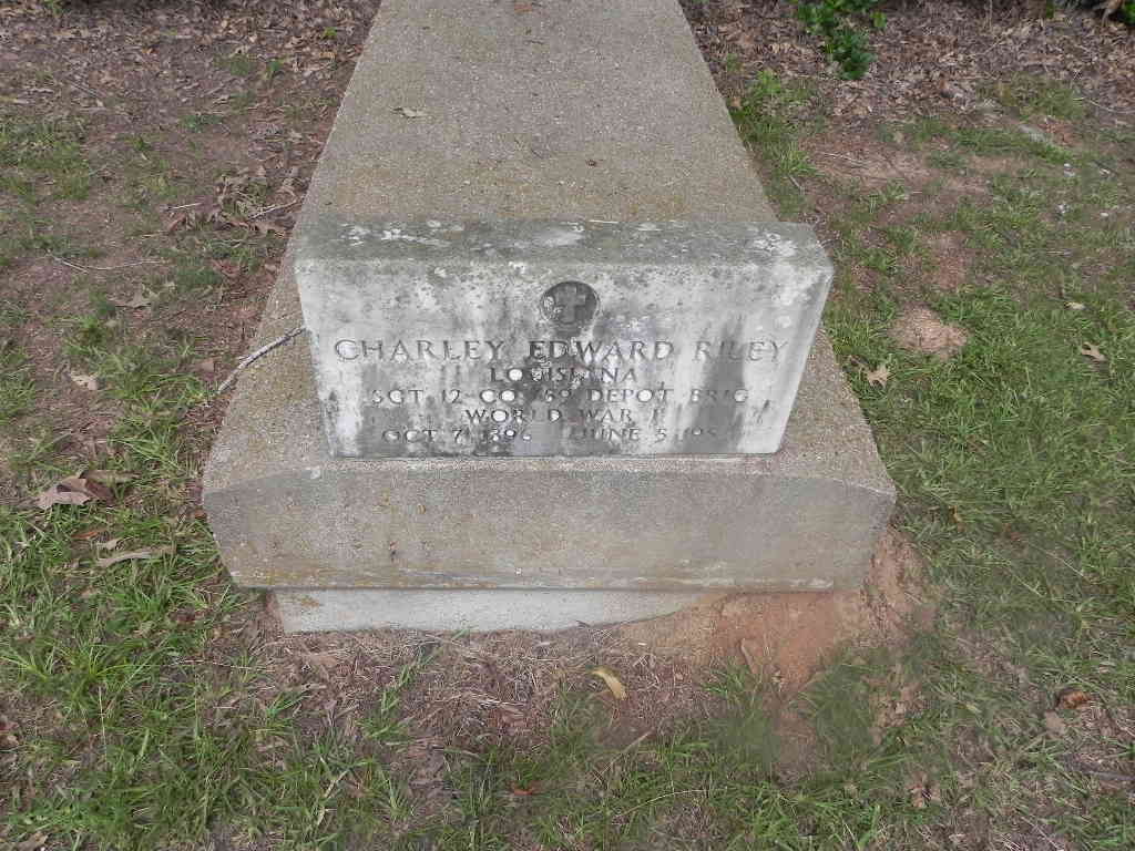 Pictures by Paul Vincent